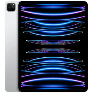 Apple iPad Pro 11" 2022 Wi-Fi 256 GB